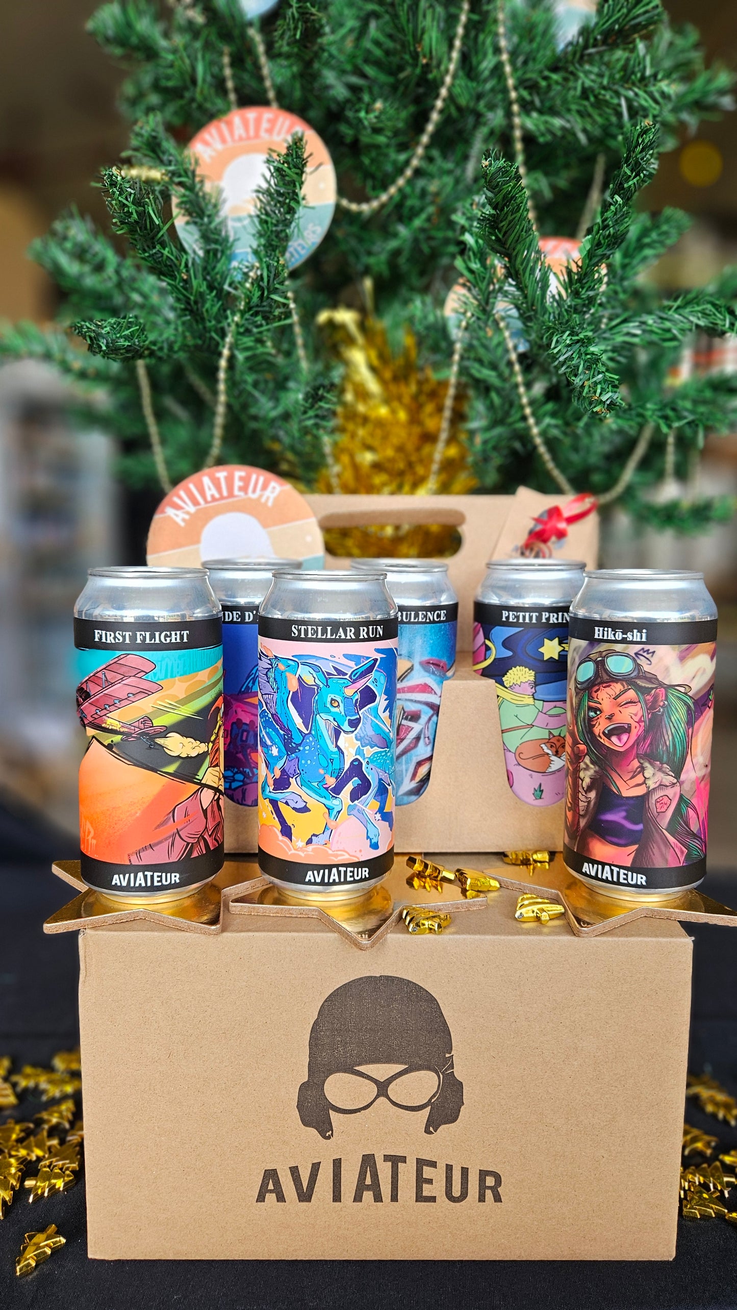 Coffret de Noël - 6 bières 44 cl