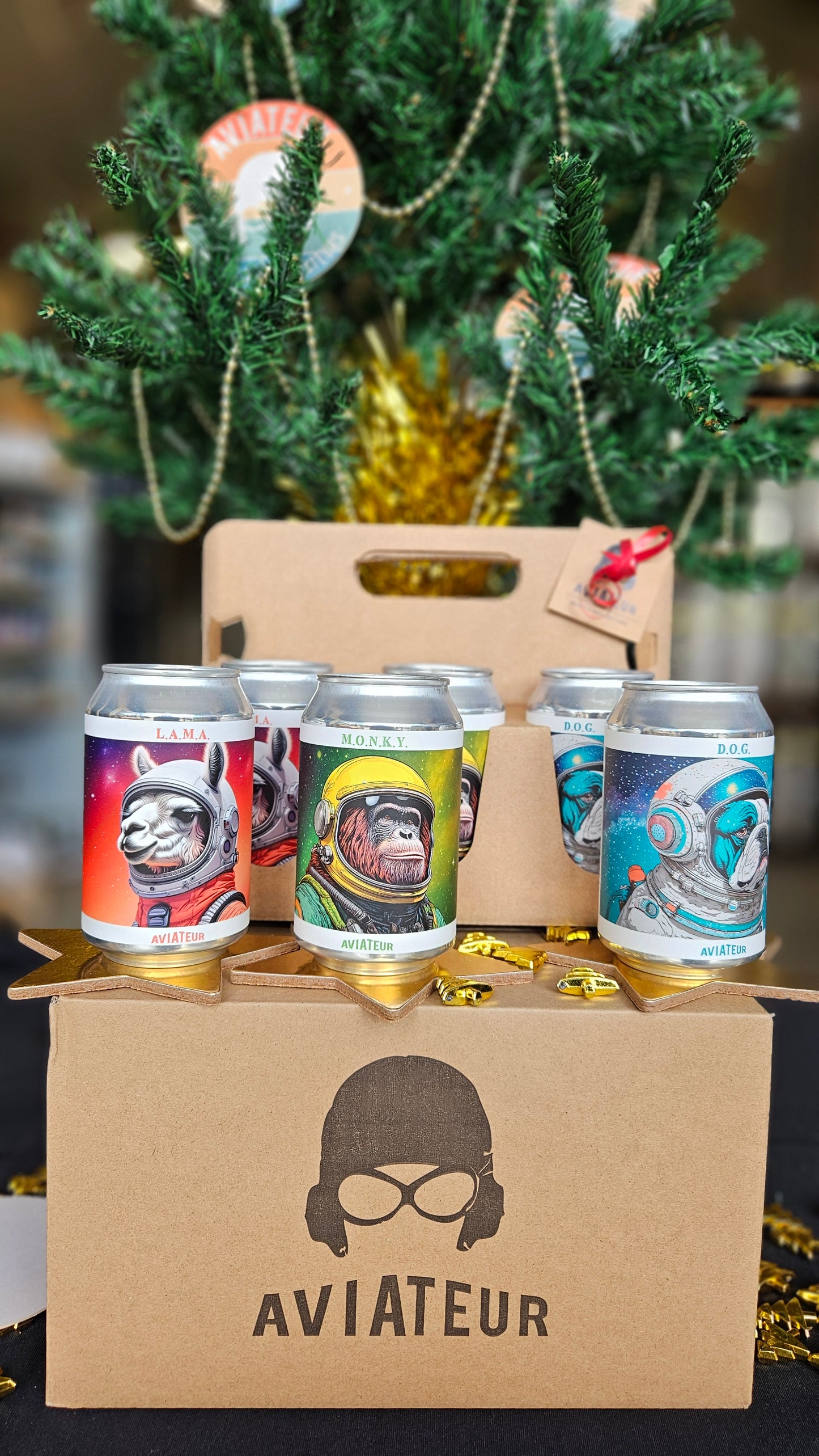 Coffret de Noël - 6 softs sodas 33 cl