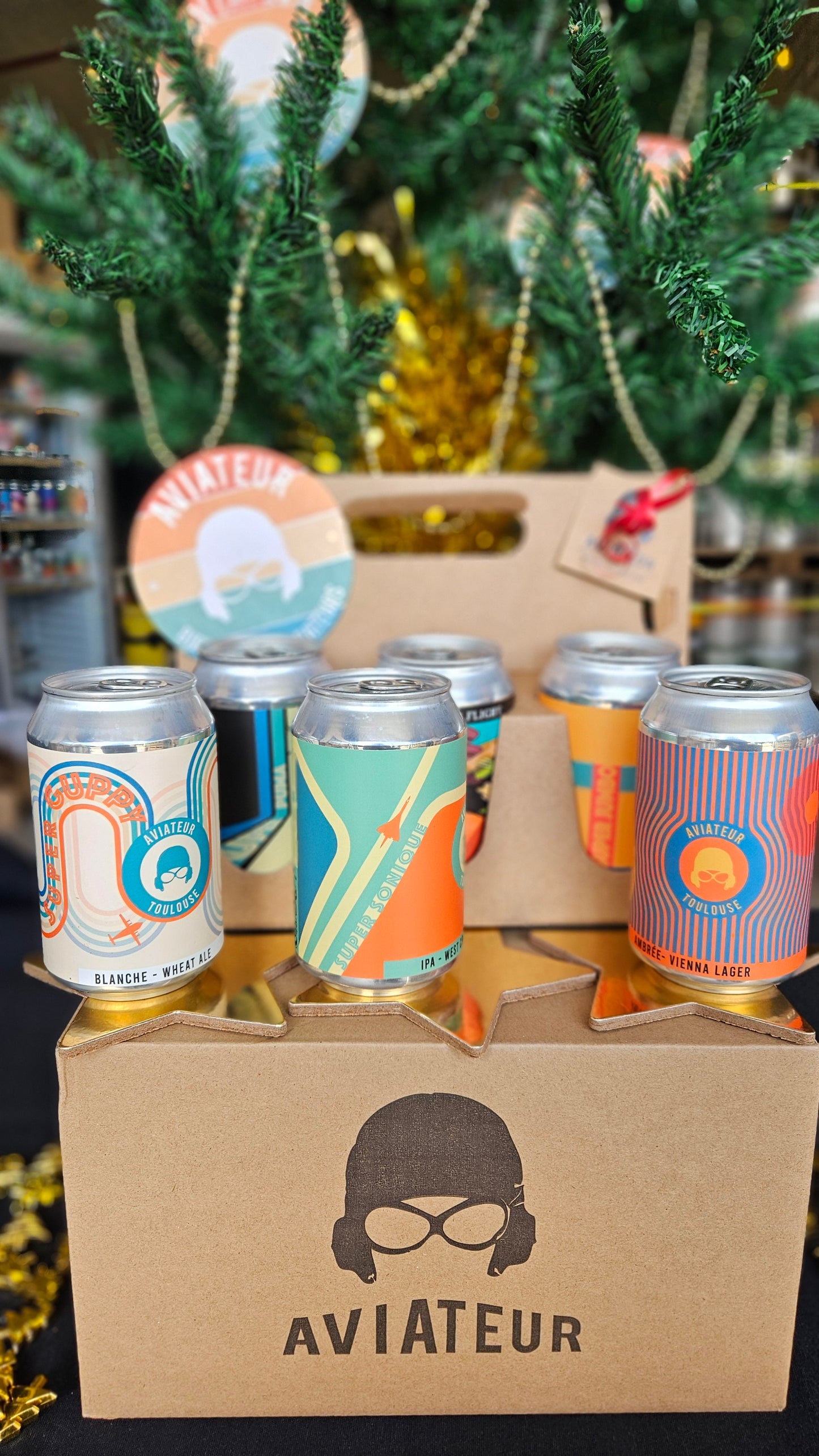 Coffret de Noël - 6 bières 33 cl