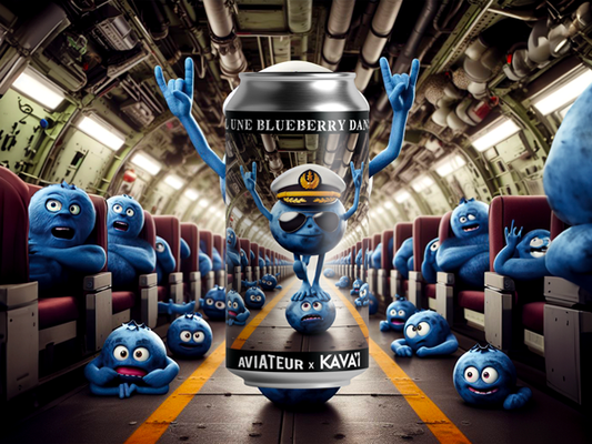 Y'a t'il une Blueberry dans l'avion - Bière Sour - Can 44cl